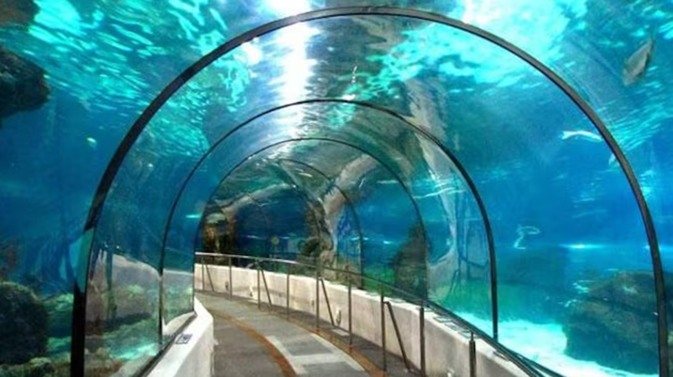 Underwater Metro